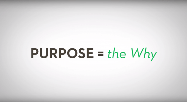 Why Purpose Matters - Creative Executive
